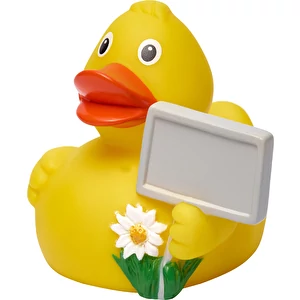 Canard Grincheux City Duck