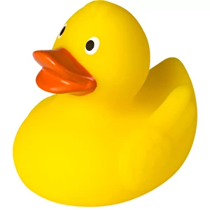Canard grinçant