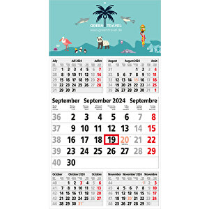 5-Monats-Kalender Budget 5 X.press Inkl. 4C-Druck , hellgrau rot, 56,00cm x 30,00cm (Länge x Breite)