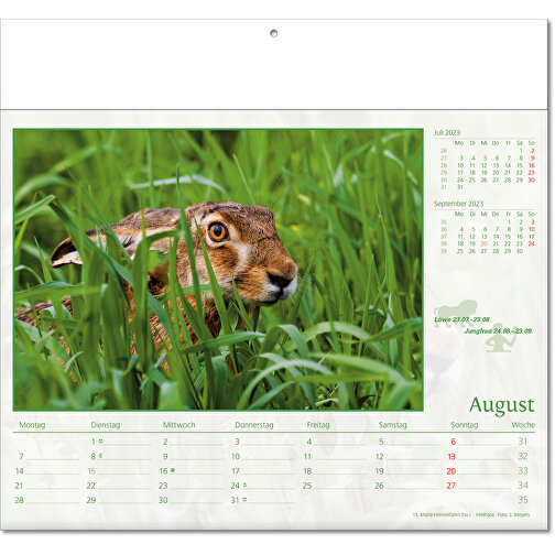 Bildkalender 'Tierwelt' , Papier, 27,00cm x 30,00cm (Höhe x Breite), Bild 9