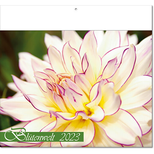 Bildkalender 'Blütenwelt' , Papier, 27,00cm x 30,00cm (Höhe x Breite), Bild 1