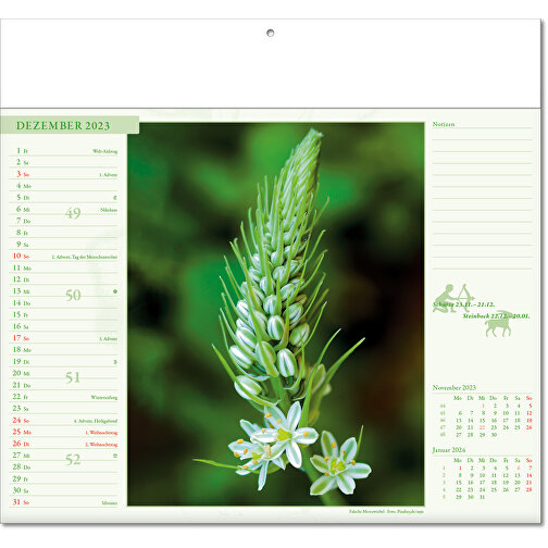 Bildkalender 'Blütenwelt' , Papier, 27,00cm x 30,00cm (Höhe x Breite), Bild 13