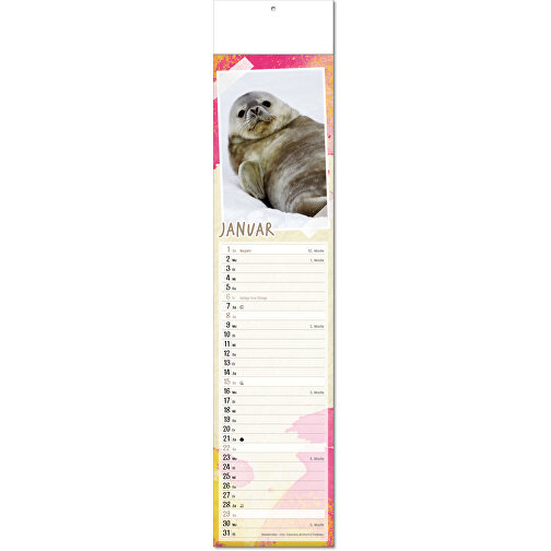 Bildkalender 'Tierbabys' , Papier, 49,00cm x 11,00cm (Höhe x Breite), Bild 2