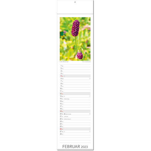 Bildkalender 'Tee & Heiltees' , Papier, 53,50cm x 13,00cm (Höhe x Breite), Bild 3