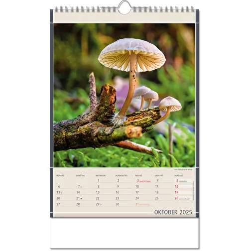 Calendrier 'Découvertes de la nature' au format 24 x 38,5 cm, avec reliure Wire-O, Image 11