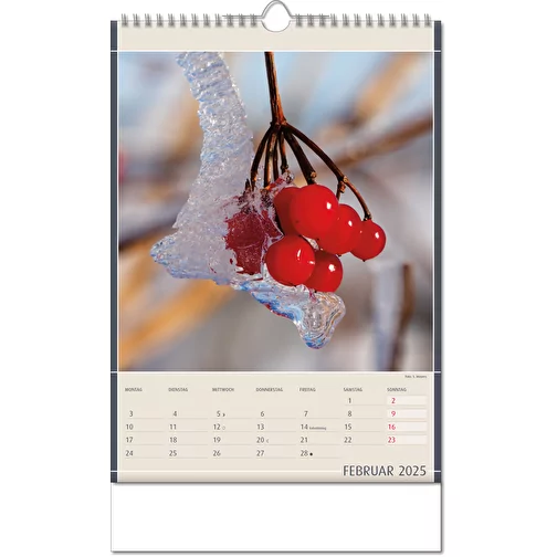 Calendrier 'Découvertes de la nature' au format 24 x 38,5 cm, avec reliure Wire-O, Image 3