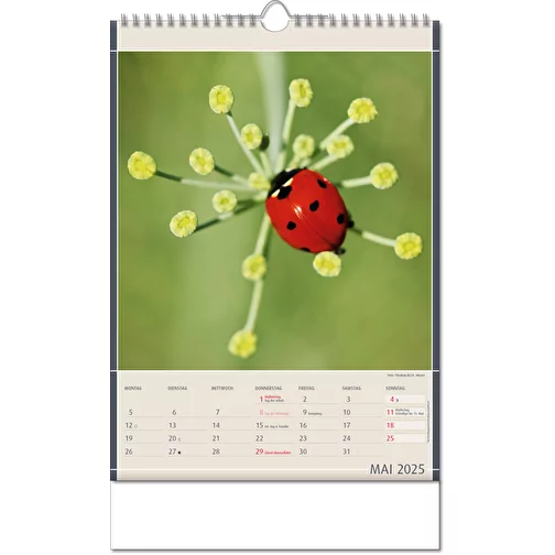 Calendrier 'Découvertes de la nature' au format 24 x 38,5 cm, avec reliure Wire-O, Image 6