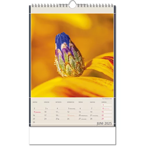 Calendrier 'Découvertes de la nature' au format 24 x 38,5 cm, avec reliure Wire-O, Image 7