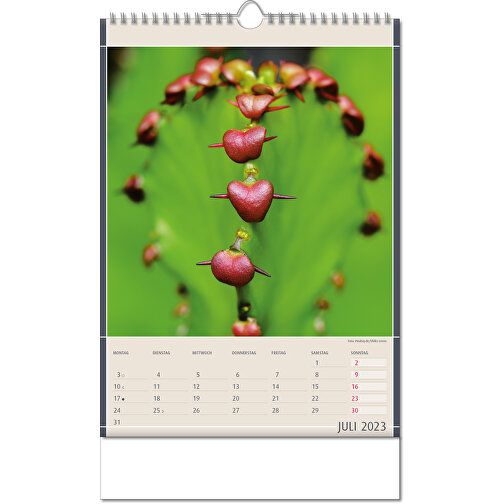 Kalender 'Findings of Nature' i formatet 24 x 38,5 cm, med Wire-O indbinding, Billede 8