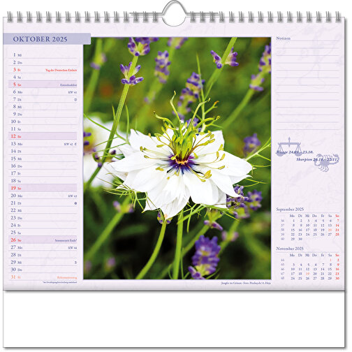Bildkalender 'Blütenwelt' , Papier, 28,00cm x 30,00cm (Höhe x Breite), Bild 11