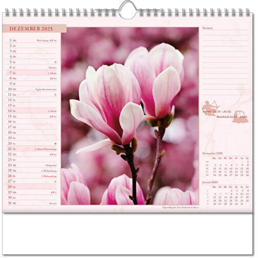 Bildkalender 'Blütenwelt' , Papier, 28,00cm x 30,00cm (Höhe x Breite), Bild 13