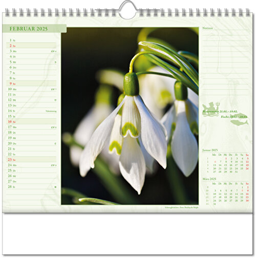 Bildkalender 'Blütenwelt' , Papier, 28,00cm x 30,00cm (Höhe x Breite), Bild 3