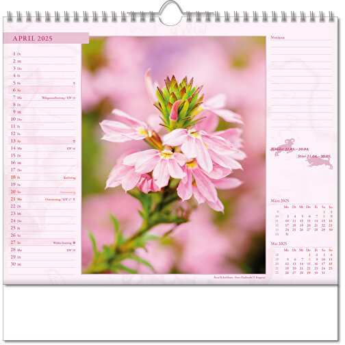 Bildkalender 'Blütenwelt' , Papier, 28,00cm x 30,00cm (Höhe x Breite), Bild 5