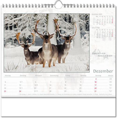 Calendario illustrato 'Mondo animale, Immagine 13