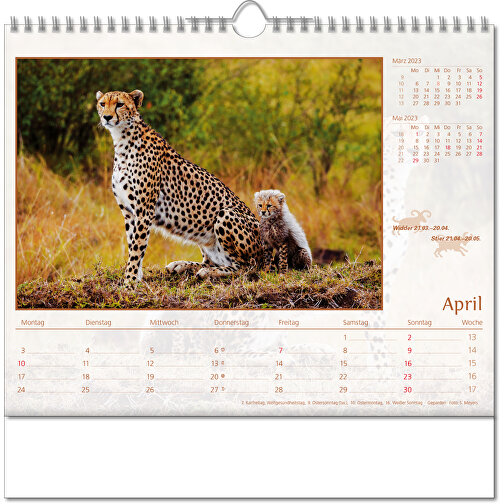 Calendario illustrato 'Mondo animale, Immagine 5