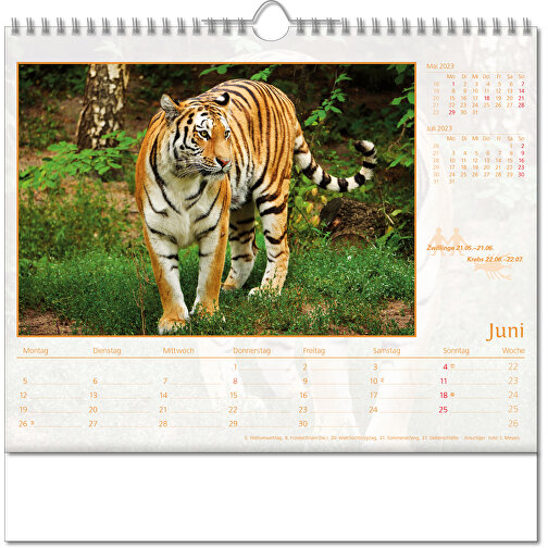 Bildkalender 'Tierwelt' , Papier, 28,00cm x 30,00cm (Höhe x Breite), Bild 7