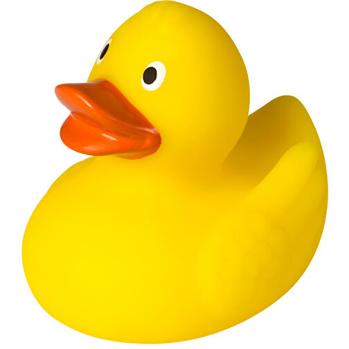 Quiet Duck, Bilde 1