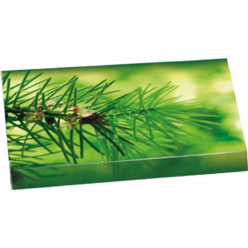 Fichten-Päckchen , grün, Papier, Kokosfaser, Samen, 8,00cm x 0,40cm x 6,00cm (Länge x Höhe x Breite), Bild 1