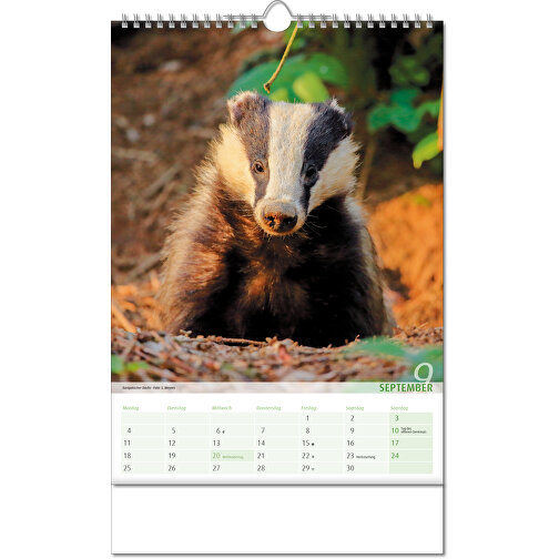 Calendario 'Vista sul regno animale' nel formato 24 x 38,5 cm, con rilegatura Wire-O, Immagine 10