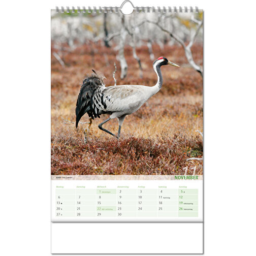 Calendario 'Vista sul regno animale' nel formato 24 x 38,5 cm, con rilegatura Wire-O, Immagine 12