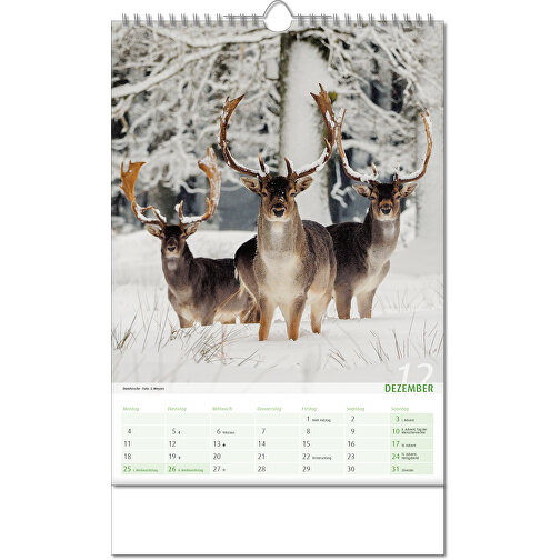 Calendario 'Vista sul regno animale' nel formato 24 x 38,5 cm, con rilegatura Wire-O, Immagine 13