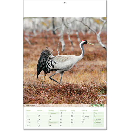 Calendario 'Vista al reino animal' en formato 24 x 37,5 cm, con tapa plegada, Imagen 12