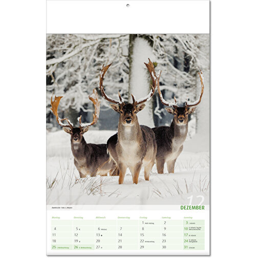 Calendario 'Vista al reino animal' en formato 24 x 37,5 cm, con tapa plegada, Imagen 13