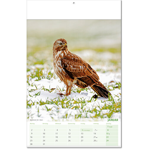 Kalender 'Utsikt över djurriket' i formatet 24 x 37,5 cm, med vikta omslag, Bild 2