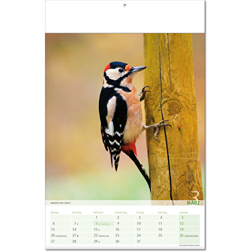 Calendario 'Vista sul regno animale' nel formato 24 x 37,5 cm, con copertina piegata, Immagine 4