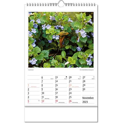 Bildkalender 'Botanica' , Papier, 34,60cm x 24,00cm (Höhe x Breite), Bild 12