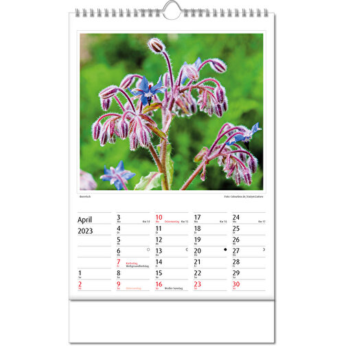 Calendario de imágenes 'Botanica, Imagen 5