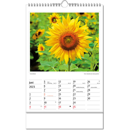 Calendario fotografico 'Botanica, Immagine 7
