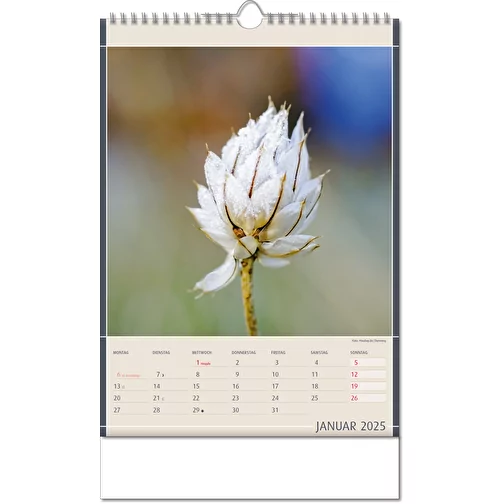 Calendrier 'Découvertes de la nature' au format 11 x 51 cm, avec reliure Wire-O, Image 2