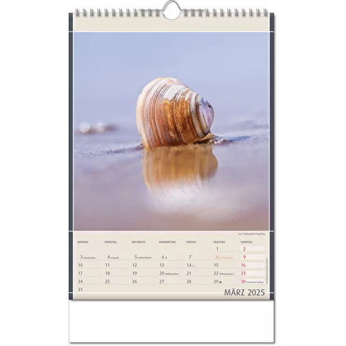 Calendrier 'Découvertes de la nature' au format 11 x 51 cm, avec reliure Wire-O, Image 4