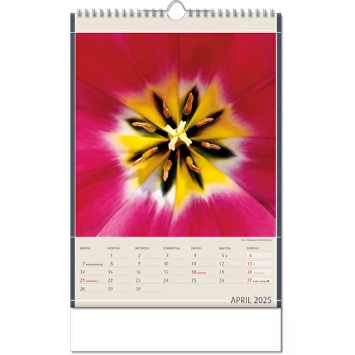 Calendrier 'Découvertes de la nature' au format 11 x 51 cm, avec reliure Wire-O, Image 5
