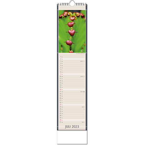 Calendrier 'Découvertes de la nature' au format 11 x 51 cm, avec reliure Wire-O, Image 8