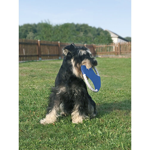 Hunde-Wurfscheibe , blau, weiß, PES+NY, 1,50cm (Höhe), Bild 3