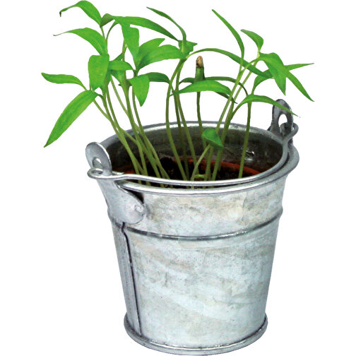 Pflanzeimerchen Mit Samen - Basilikum , individuell, Zinkblech, Saatgut, Papier, Erde, 5,50cm (Höhe), Bild 5