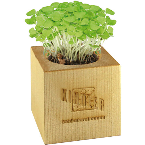 Pot cube bois maxi avec graines - Myosotis, 1 sites gravés au laser, Image 4
