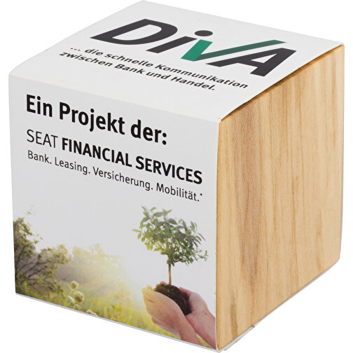 Plantering Wood Maxi - Förgätmigej, Bild 1