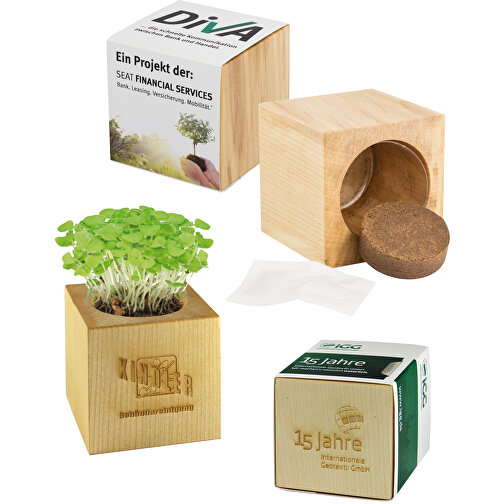 Pot cube bois maxi avec graines - Cresson de jardin, Image 5