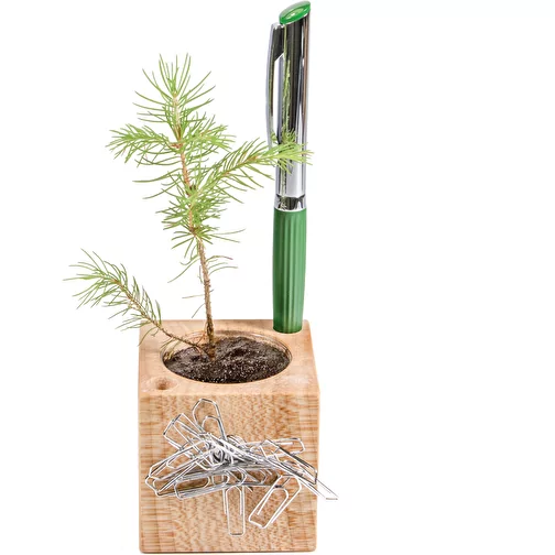 Pot cube bois de bureau de Noël - Epicéa - Epicéa, Image 1