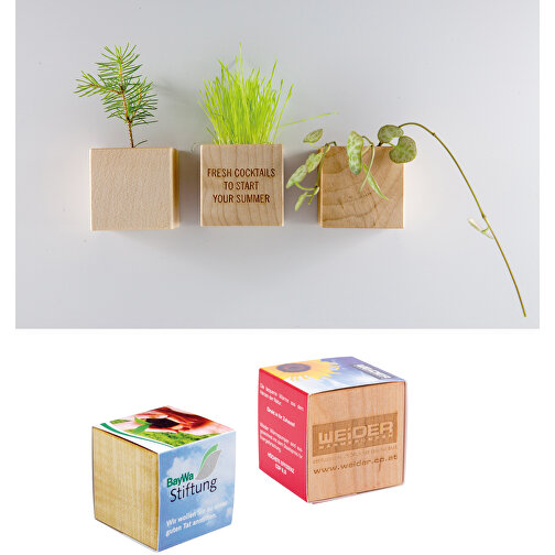 Magnete di legno per piante - Basilico, Immagine 4