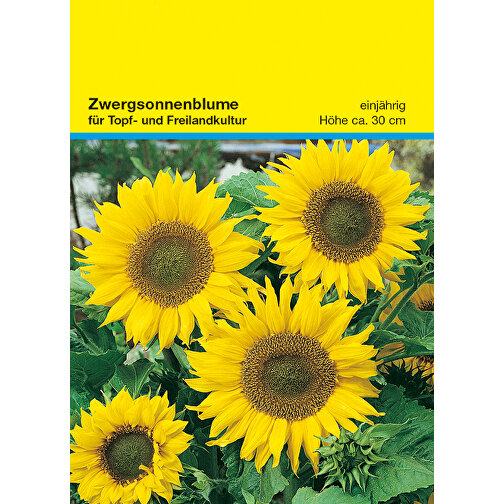 Samentütchen Zwergsonnenblume , gelb, Papier, Samen, 8,20cm x 11,40cm (Länge x Breite), Bild 1