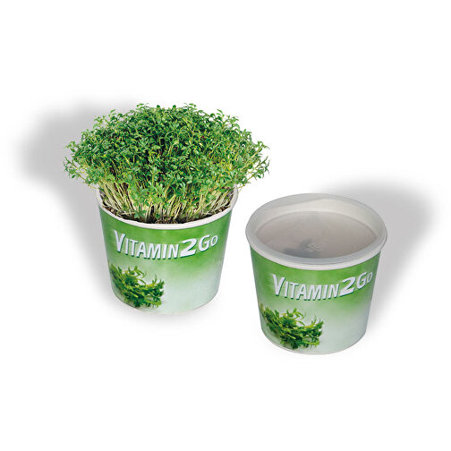 Vitamin 2Go , grün, Papier, Folie, Samen, Kokosfaser, Kunststoff, 4,50cm (Höhe), Bild 2