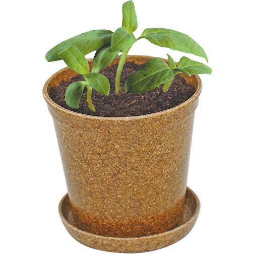 Easy Wachstums-Topf Sonne , braun, Organisches Material, Kokosfaser, Samen, Papier, 5,50cm (Höhe), Bild 1