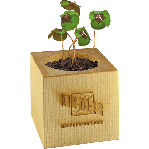 Pot cube bois Mini - Design standard - Trèfle à 4 feuilles - gravure laser sur 1 face, Image 1