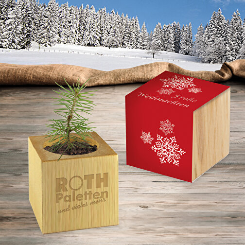 Planta de madera de Navidad - motivo estándar, incluido el láser lateral, Imagen 4