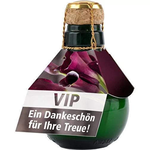 , Bild 5