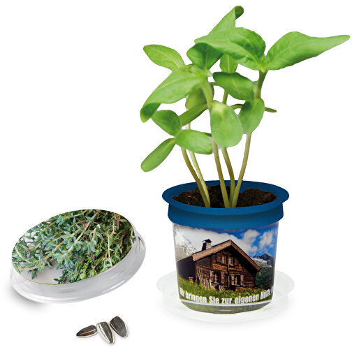 Pot Florero avec graines - bleu - Thym, Image 1
